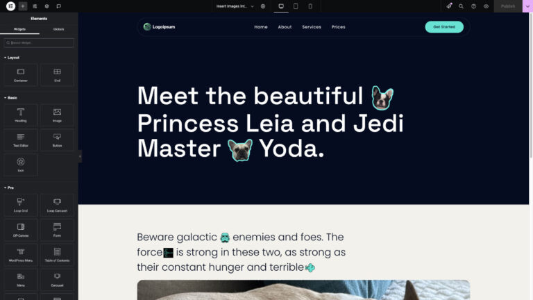 Insert Images Into Text with CSS In Elementor Editor